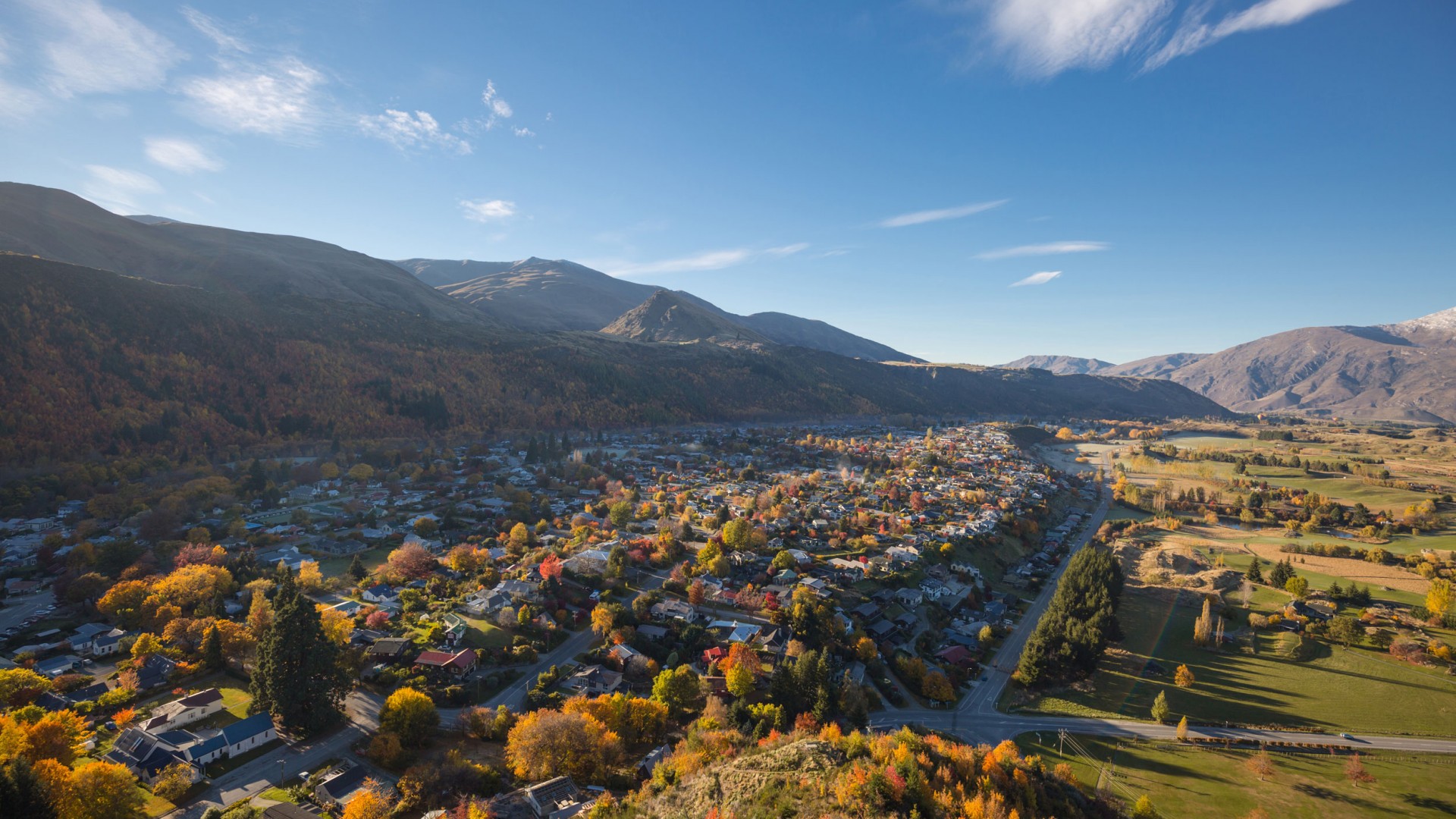 Arrowtown in Autumn from Feehly Hill